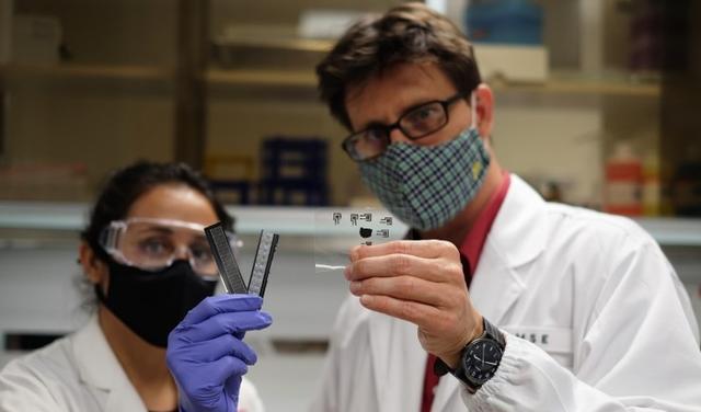  Researchers Create Super Sealant to Stop Bleeding Using Snake Tissue Enzymes