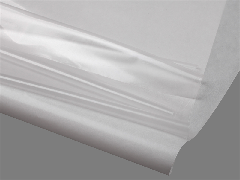 Hot melt adhesive web film product introduction